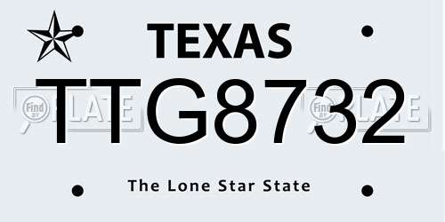 TTG8732 Texas License Plate