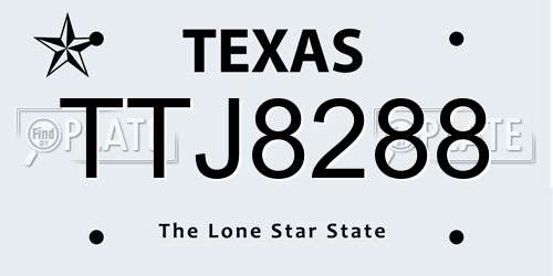 TTJ8288 Texas License Plate