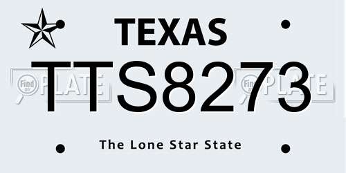 TTS8273 Texas License Plate
