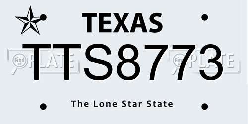 TTS8773 Texas License Plate