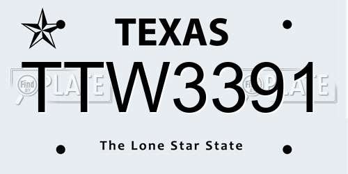 TTW3391 Texas License Plate