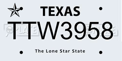 TTW3958 Texas License Plate