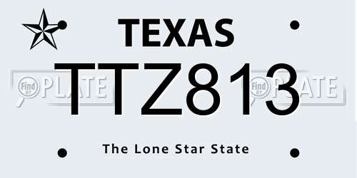 TTZ813 Texas License Plate