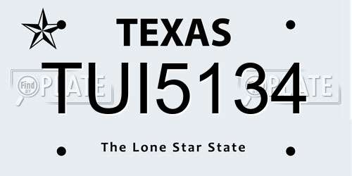 TUI5134 Texas License Plate