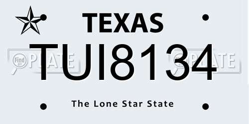 TUI8134 Texas License Plate