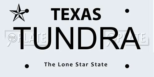 TUNDRA Texas License Plate