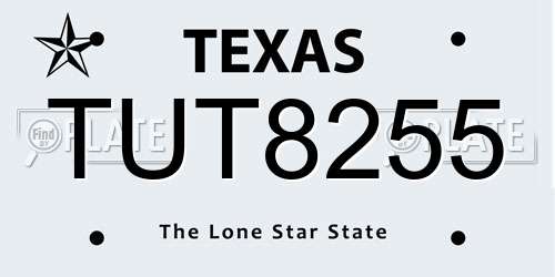 TUT8255 Texas License Plate