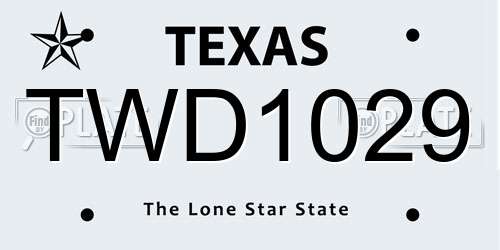 TWD1029 Texas License Plate