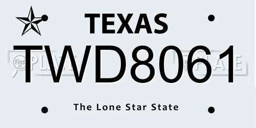 TWD8061 Texas License Plate