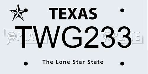 TWG233 Texas License Plate