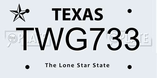 TWG733 Texas License Plate