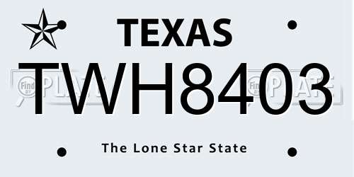TWH8403 Texas License Plate