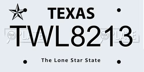 TWL8213 Texas License Plate