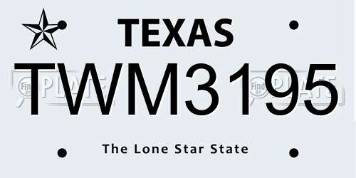 TWM3195 Texas License Plate