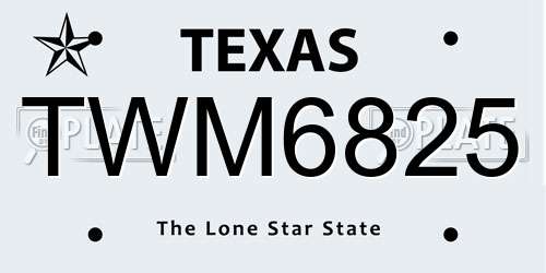 TWM6825 Texas License Plate