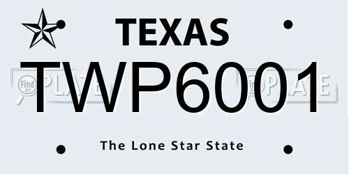 TWP6001 Texas License Plate