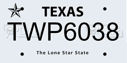 TWP6038 Texas License Plate