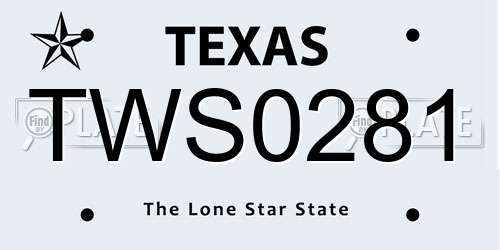 TWS0281 Texas License Plate