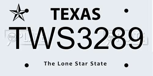 TWS3289 Texas License Plate