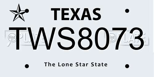 TWS8073 Texas License Plate