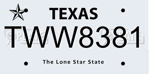 TWW8381 Texas License Plate