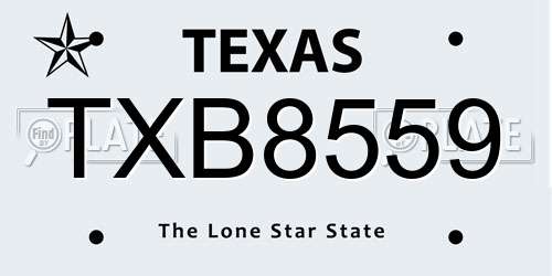 TXB8559 Texas License Plate
