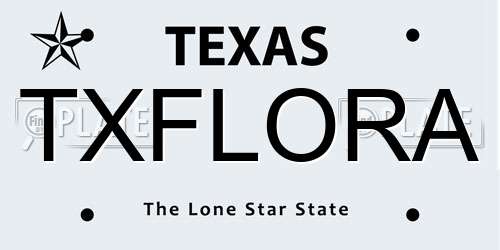TXFLORA Texas License Plate
