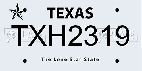 TXH2319 Texas License Plate