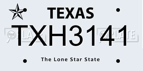 TXH3141 Texas License Plate