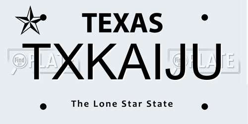 TXKAIJU Texas License Plate