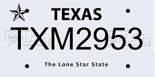 TXM2953 Texas License Plate