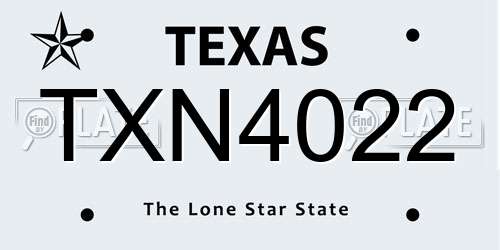 TXN4022 Texas License Plate