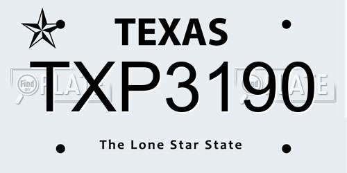 TXP3190 Texas License Plate