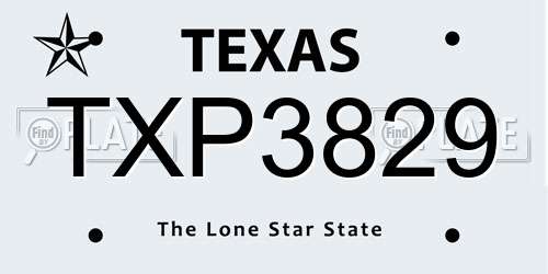 TXP3829 Texas License Plate