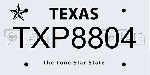TXP8804 Texas License Plate