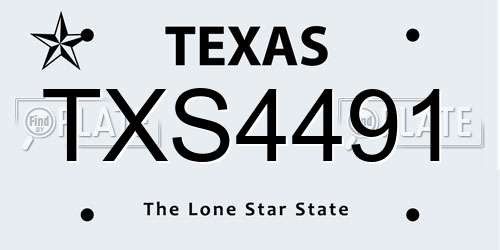 TXS4491 Texas License Plate
