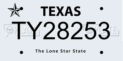 TY28253 Texas License Plate