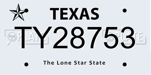 TY28753 Texas License Plate