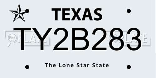 TY2B283 Texas License Plate