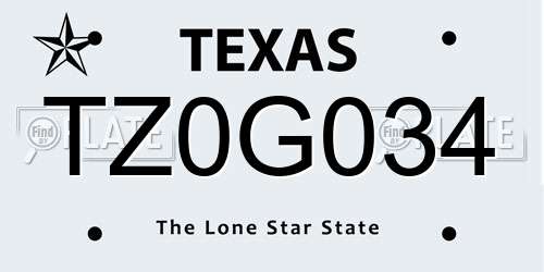 TZ0G034 Texas License Plate