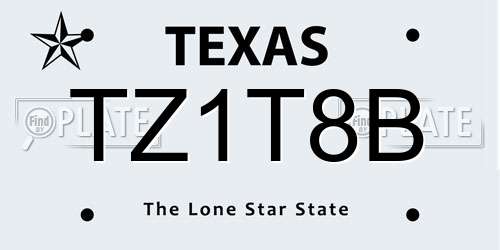 TZ1T8B Texas License Plate