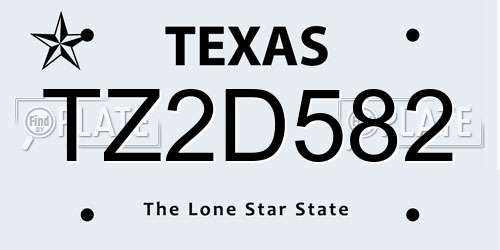 TZ2D582 Texas License Plate
