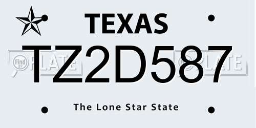 TZ2D587 Texas License Plate