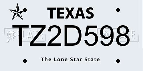 TZ2D598 Texas License Plate
