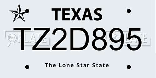 TZ2D895 Texas License Plate