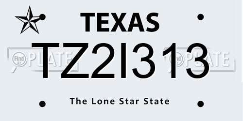 TZ2I313 Texas License Plate