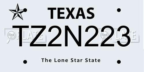 TZ2N223 Texas License Plate