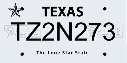 TZ2N273 Texas License Plate