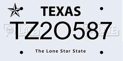 TZ2O587 Texas License Plate