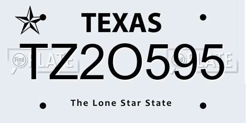 TZ2O595 Texas License Plate